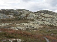 N, Innlandet, Sel, Klufttjonne 33, Saxifraga-Willem van Kruijsbergen