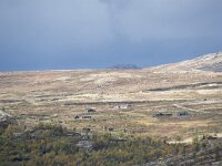 N, Innlandet, Sel, Mysuseter 101, Saxifraga-Willem van Kruijsbergen