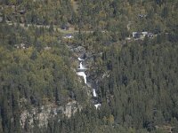 N, Innlandet, Sel, Mysuseter 50, Saxifraga-Willem van Kruijsbergen