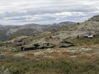 N, Innlandet, Sel, Peer Gynt Hytta 122, Saxifraga-Willem van Kruijsbergen