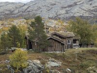 N, Innlandet, Sel, Peer Gynt Hytta 125, Saxifraga-Willem van Kruijsbergen