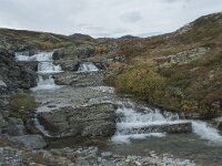 N, Innlandet, Sel, Peer Gynt Hytta 159, Saxifraga-Annemiek Bouwman