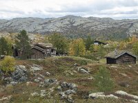 N, Innlandet, Sel, Peer Gynt Hytta 162, Saxifraga-Annemiek Bouwman