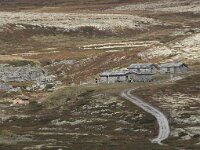 N, Innlandet, Sel, Peer Gynt Hytta 96, Saxifraga-Willem van Kruijsbergen