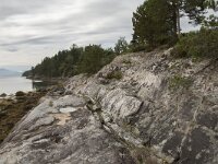 N, More og Romsdal, Molde, Bolsoya 19, Saxifraga-Willem van Kruijsbergen