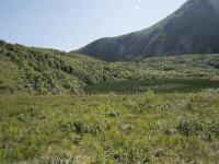 N, Nordland, Andoy, Bleikmorenen 1, Saxifraga-Willem van Kruijsbergen