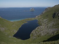 N, Nordland, Andoy, Matind 4, Saxifraga-Willem van Kruijsbergen