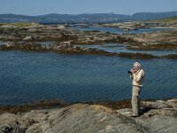 N, Nordland, Bodo, Godoynes 16, Saxifraga-Marijke Verhagen