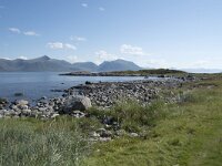 N, Nordland, Oksnes, Gisloya 41, Saxifraga-Willem van Kruijsbergen