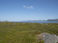 N, Nordland, Oksnes, Gisloya 43, Saxifraga-Willem van Kruijsbergen