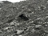 N, Oppland, Lom, Storebreen 22, Saxifraga-Willem van Kruijsbergen