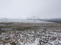 N, Oppland, Oystre Slidre, Valdresflya 10, Saxifraga-Willem van Kruijsbergen