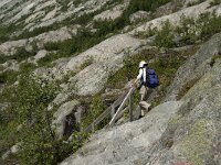 N, Sogn og Fjordane, Luster, Nigardsbreen 7, Saxifraga-Jan van der Straaten
