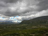 N, Trondelag, Oppdal, Dovrefjell 9, Saxifraga-Bart Vastenhouw