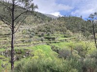 P, Castelo Branco, Covilha, Cortes do Meio 3, Saxifraga-Kees Marijnissen