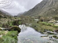 P, Guarda, Manteigas, Sao Pedro 14, Saxifraga-Kees Marijnissen