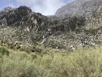 P, Guarda, Manteigas, Sao Pedro 17, Saxifraga-Kees Marijnissen