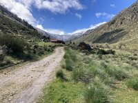 P, Guarda, Manteigas, Sao Pedro 7, Saxifraga-Kees Marijnissen