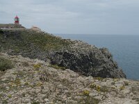 P, Faro, Vila do Bispo, Cabo Sao Vicente 118, Saxifraga-Willem van Kruijsbergen