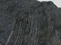 P, Faro, Vila do Bispo, Praia de Castelejo 84, Saxifraga-Willem van Kruijsbergen