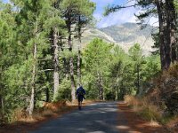 E, Avila, Guisando, Galayos valley 1, Saxifraga-Tom Heijnen