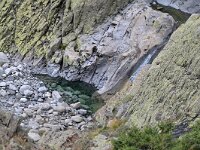 E, Avila, Guisando, Galayos valley 13, Saxifraga-Tom Heijnen