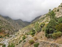 E, Avila, Guisando, Galayos valley 20, Saxifraga-Tom Heijnen