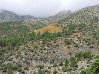 E, Avila, Guisando, Galayos valley 22, Saxifraga-Tom Heijnen