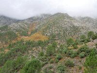 E, Avila, Guisando, Galayos valley 23, Saxifraga-Tom Heijnen