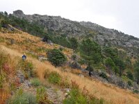 E, Avila, Guisando, Galayos valley 25, Saxifraga-Tom Heijnen