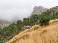 E, Avila, Guisando, Galayos valley 29, Saxifraga-Tom Heijnen
