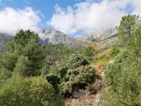 E, Avila, Guisando, Galayos valley 3, Saxifraga-Tom Heijnen