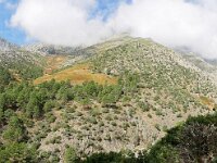 E, Avila, Guisando, Galayos valley 4, Saxifraga-Tom Heijnen