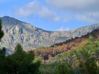 E, Avila, Guisando, near village 5, Saxifraga-Tom Heijnen