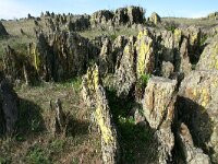 E, Badajos, La Serena, Dientes de Perro 3, Saxifraga-Dirk Hilbers