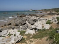 E, Cantabria, Liencres, Dunas de Liencres 92, Saxifraga-Willem van Kruijsbergen