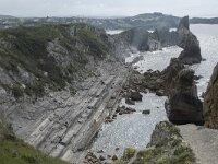 E, Cantabria, Liencres, Punta del Pino 64, Saxifraga-Willem van Kruijsbergen