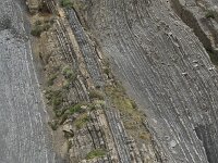 E, Cantabria, Liencres, Punta del Pino 87, Saxifraga-Willem van Kruijsbergen