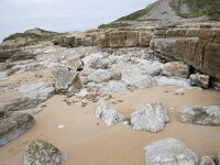 E, Cantabria, Miengo, Playa de los Caballos 37, Saxifraga-Willem van Kruijsbergen