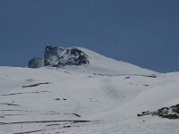 E, Granada, Monachil, Pradollano 27, Pico Veleta, Saxifraga-Willem van Kruijsbergen