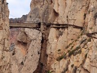 E, Malaga, Alora, El Chorro 3, Saxifraga-Hans Dekker