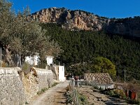 E, Mallorca, Alaro, Castel d Alaro 2, Saxifraga-Hans Dekker