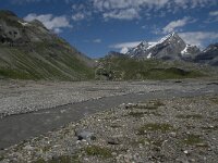 CH, Wallis, Leukerbad, Lammerenboden 17, Saxifraga-Willem van Kruijsbergen