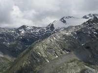 CH, Wallis, Saas Almagell, Seewjinenberg 1, Saxifraga-Willem van Kruijsbergen