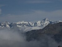 CH, Wallis, Saas Fee, Felskinn 11, Saxifraga-Willem van Kruijsbergen