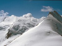 CH, Wallis, Saas-Almagell, Rimpfischhorn 2, Saxifraga-Jan van der Straaten
