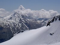 CH, Wallis, Saas-Fee, Mittelallalin 1, Saxifraga-Luuk Vermeer