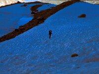 CH, Wallis, Val de Bagnes, Val de Bagnes 3, Saxifraga-Jan van der Straaten