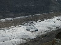 CH, Wallis, Zermatt, Gornergrat, Gornergletscher 6, Saxifraga-Willem van Kruijsbergen