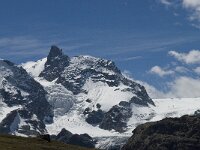 CH, Wallis, Zermatt, Gornergrat, Klein Matterhorn 1, Saxifraga-Willem van Kruijsbergen